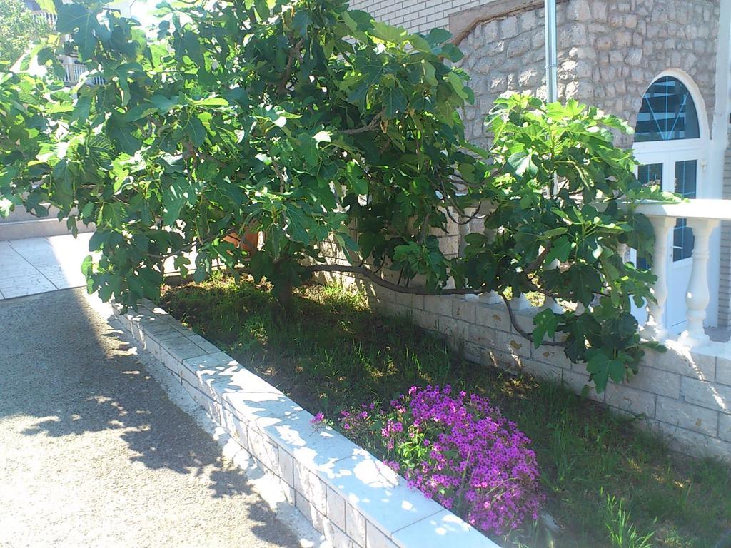 Apartment Leona Senj  Exterior foto